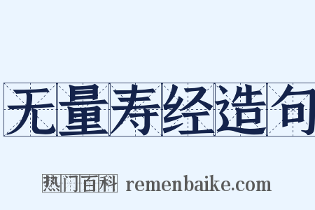无量寿经造句是什么意思的图片